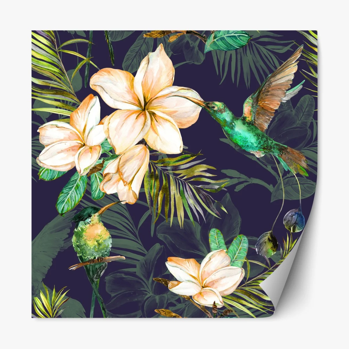 Repositionierbarer Aufkleber tropische kolibris und plumeria in aquarell – Wallnifity® Repositionierbarer Aufkleber tropische kolibris und plumeria in aquarell – Wallnifity®