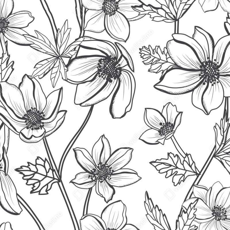 Repositionierbarer Aufkleber botanische linienzeichnung mit blumen – Wallnifity® Repositionierbarer Aufkleber botanische linienzeichnung mit blumen – Wallnifity®