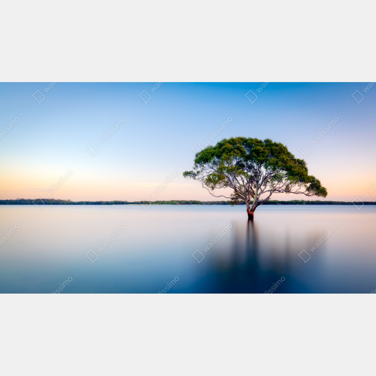 Repositionierbarer Aufkleber einsamer baum am stillen see – Wallnifity® Repositionierbarer Aufkleber einsamer baum am stillen see – Wallnifity®