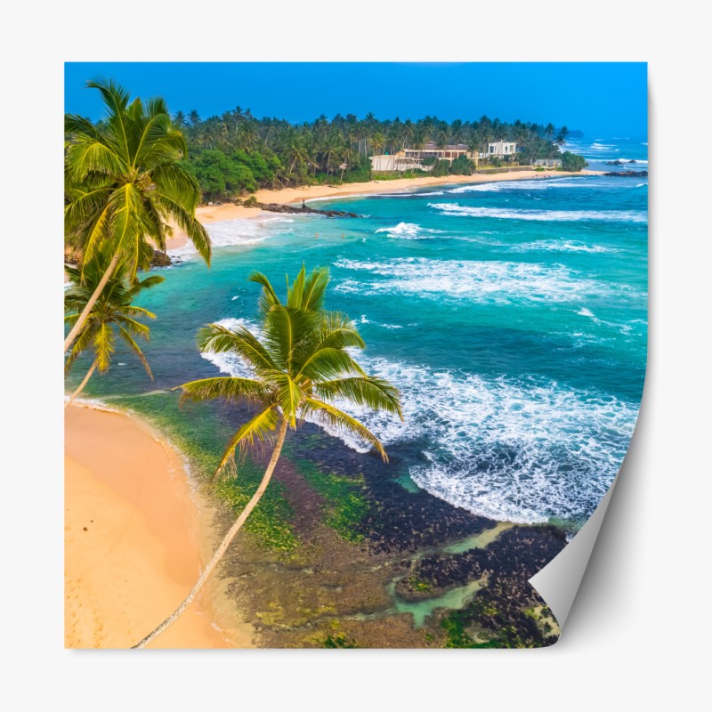 Repositionierbarer Aufkleber leuchtende heliconia auf tropischen blättern – Wallnifity®