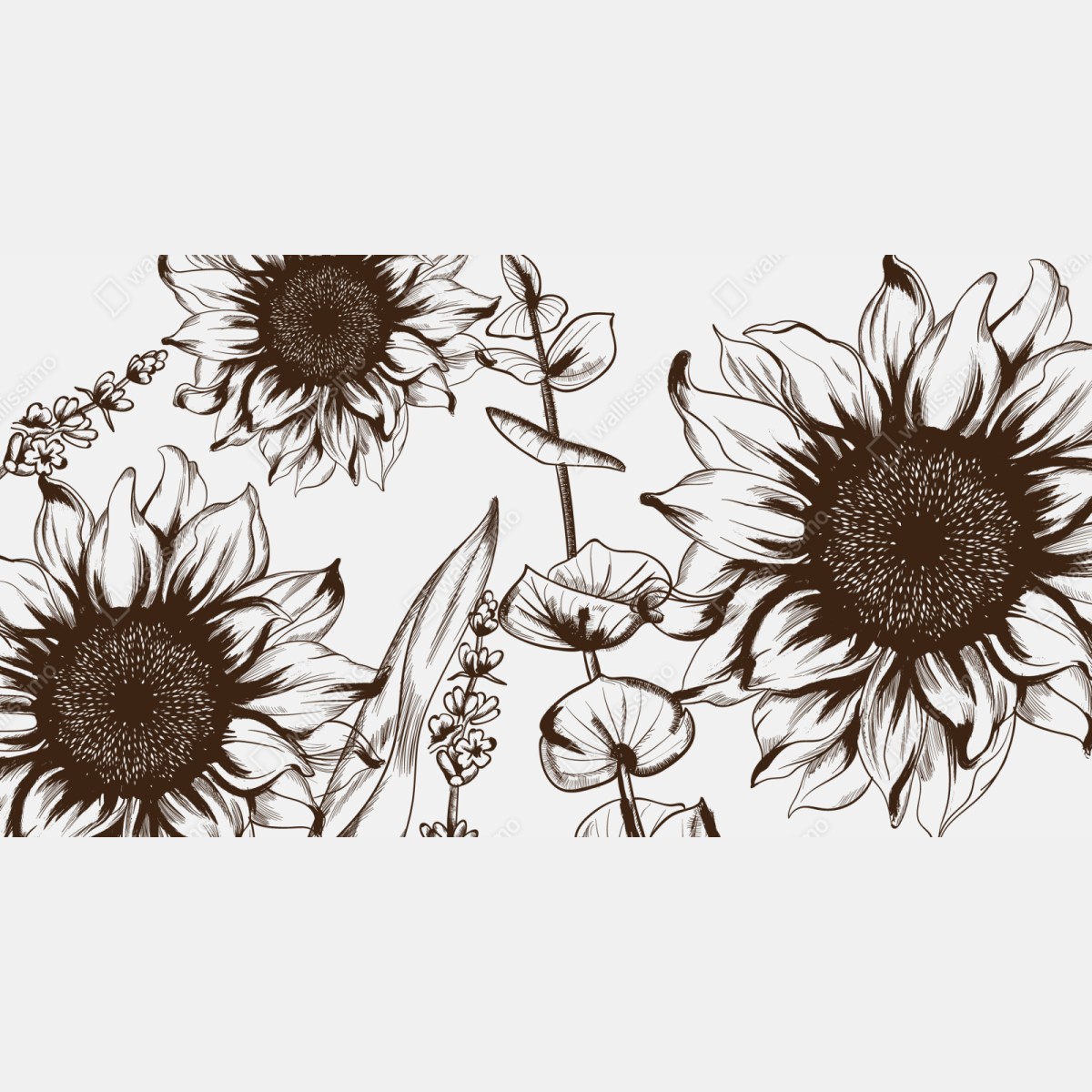 Repositionierbarer Aufkleber botanische sonnenblumenillustration in sepia – Wallnifity® Repositionierbarer Aufkleber botanische sonnenblumenillustration in sepia – Wallnifity®