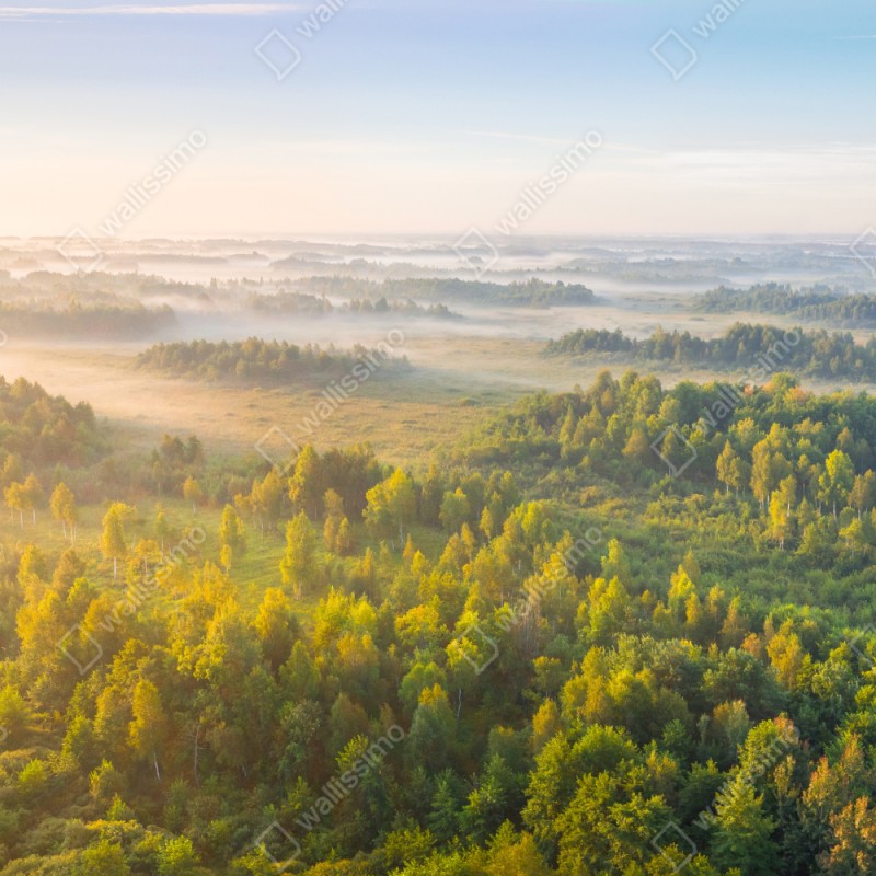 Repositionierbarer Aufkleber nebliger morgen im sumpf von Zvanets – Wallnifity® Repositionierbarer Aufkleber nebliger morgen im sumpf von Zvanets – Wallnifity®