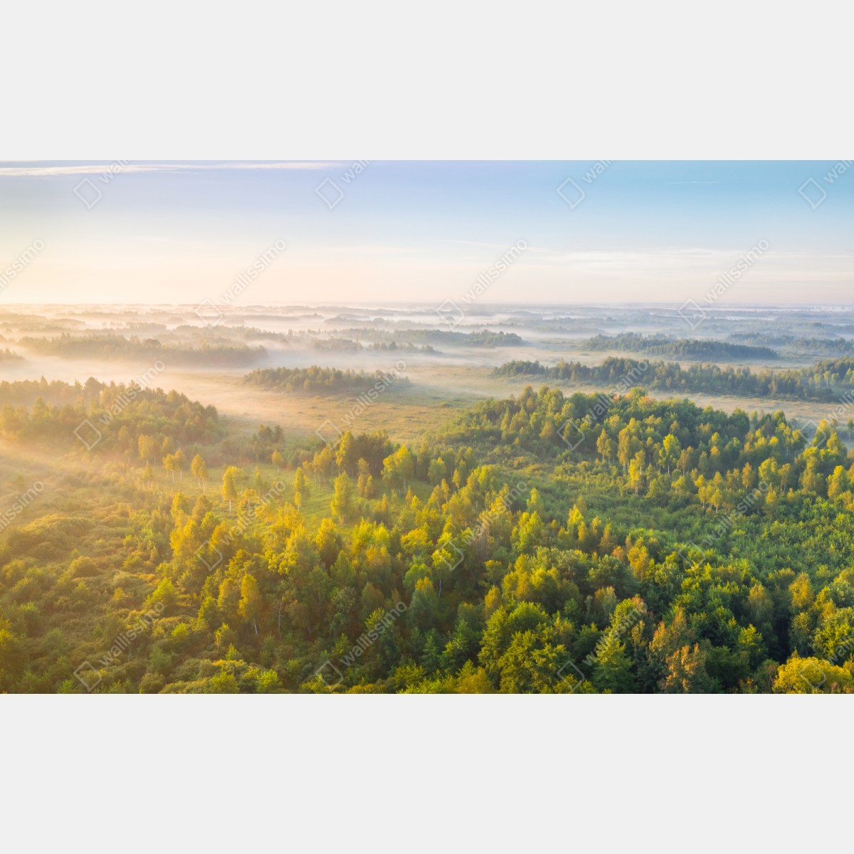 Repositionierbarer Aufkleber nebliger morgen im sumpf von Zvanets – Wallnifity® Repositionierbarer Aufkleber nebliger morgen im sumpf von Zvanets – Wallnifity®