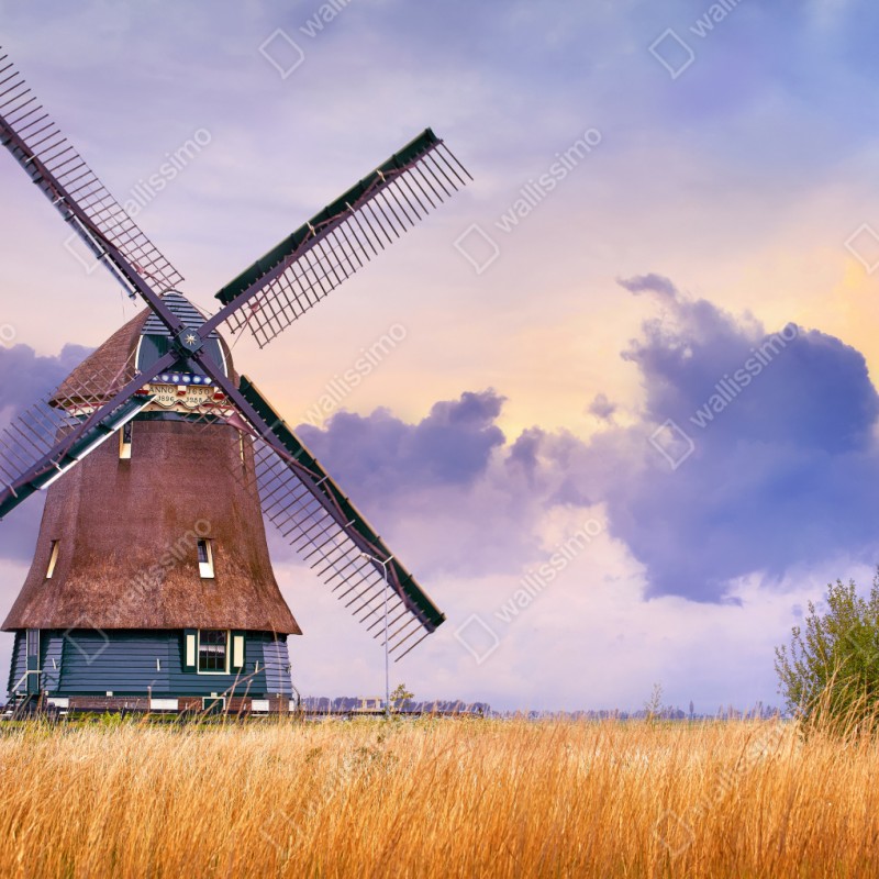Repositionierbarer Aufkleber historische windmühle auf goldenen feldern – Wallnifity® Repositionierbarer Aufkleber historische windmühle auf goldenen feldern – Wallnifity®