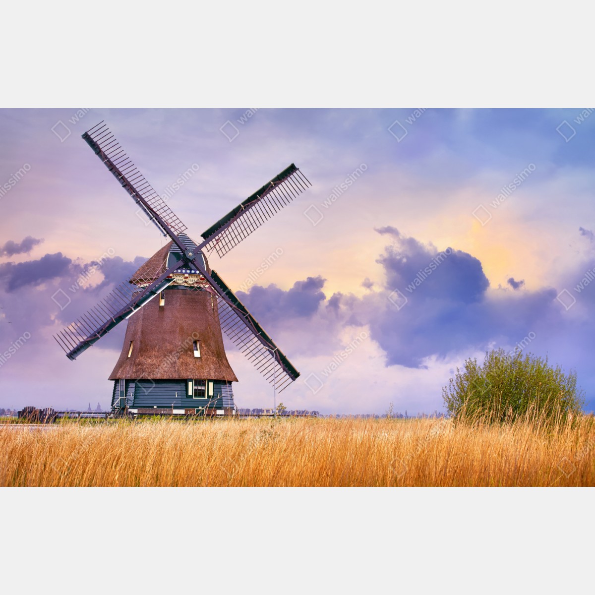 Repositionierbarer Aufkleber historische windmühle auf goldenen feldern – Wallnifity® Repositionierbarer Aufkleber historische windmühle auf goldenen feldern – Wallnifity®