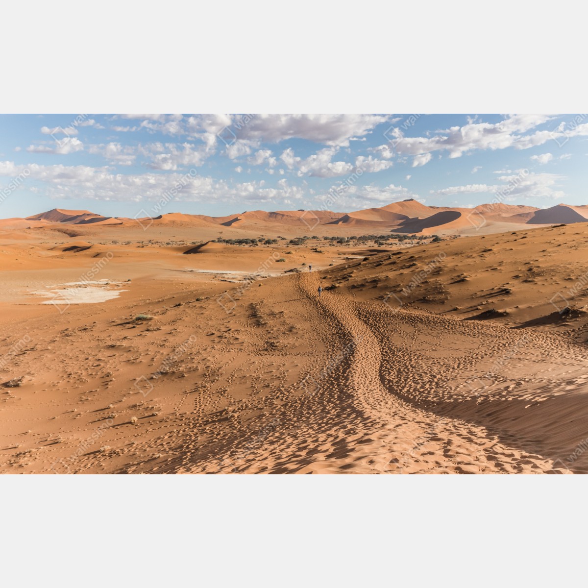 Repositionierbarer Aufkleber weite wüstendünen unter blauem himmel – Wallnifity® Repositionierbarer Aufkleber weite wüstendünen unter blauem himmel – Wallnifity®