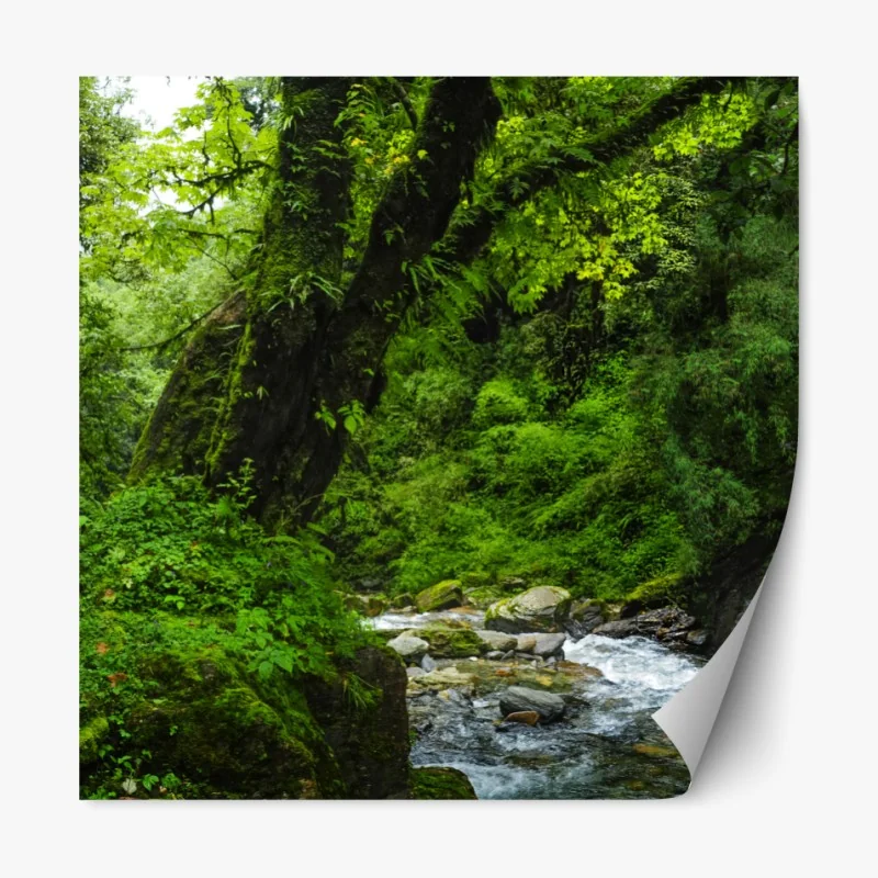 Repositionierbarer Aufkleber üppiger grüner wasserfall im wald – Wallnifity® Repositionierbarer Aufkleber üppiger grüner wasserfall im wald – Wallnifity®