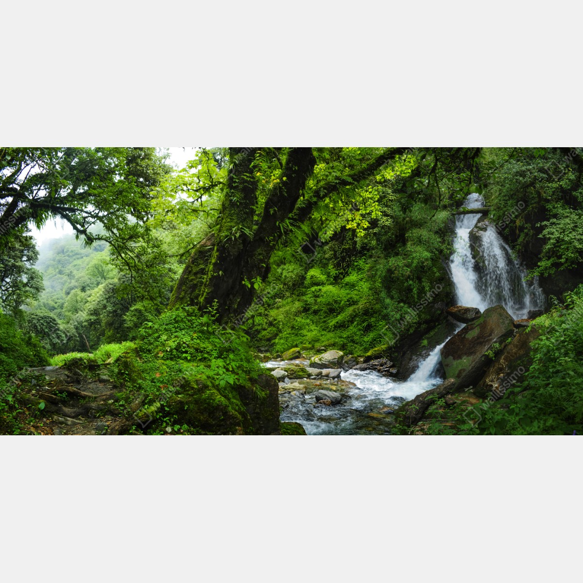 Repositionierbarer Aufkleber üppiger grüner wasserfall im wald – Wallnifity® Repositionierbarer Aufkleber üppiger grüner wasserfall im wald – Wallnifity®