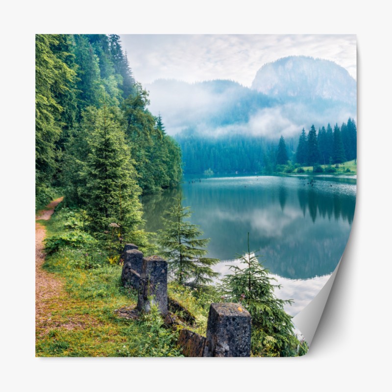 Repositionierbarer Aufkleber verzauberter grüner waldbach – Wallnifity®