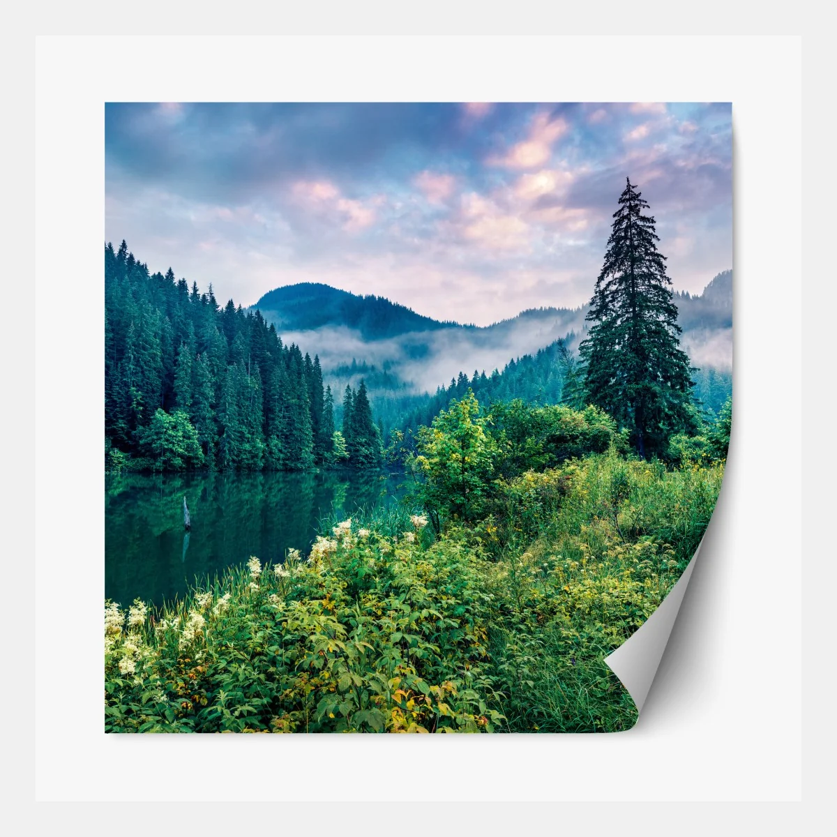 Repositionierbarer Aufkleber nebliger sonnenaufgang über Lacu Rosu – Wallnifity® Repositionierbarer Aufkleber nebliger sonnenaufgang über Lacu Rosu – Wallnifity®