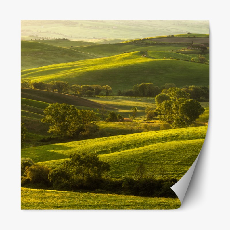 Repositionierbarer Aufkleber lila abstraktes blasenmuster – Wallnifity®