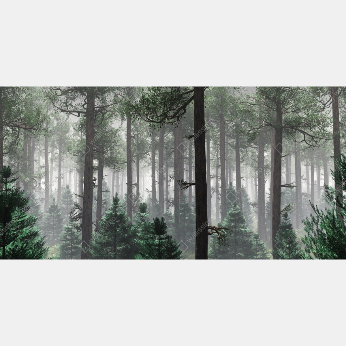 Repositionierbarer Aufkleber nebliger immergrüner wald – Wallnifity® Repositionierbarer Aufkleber nebliger immergrüner wald – Wallnifity®