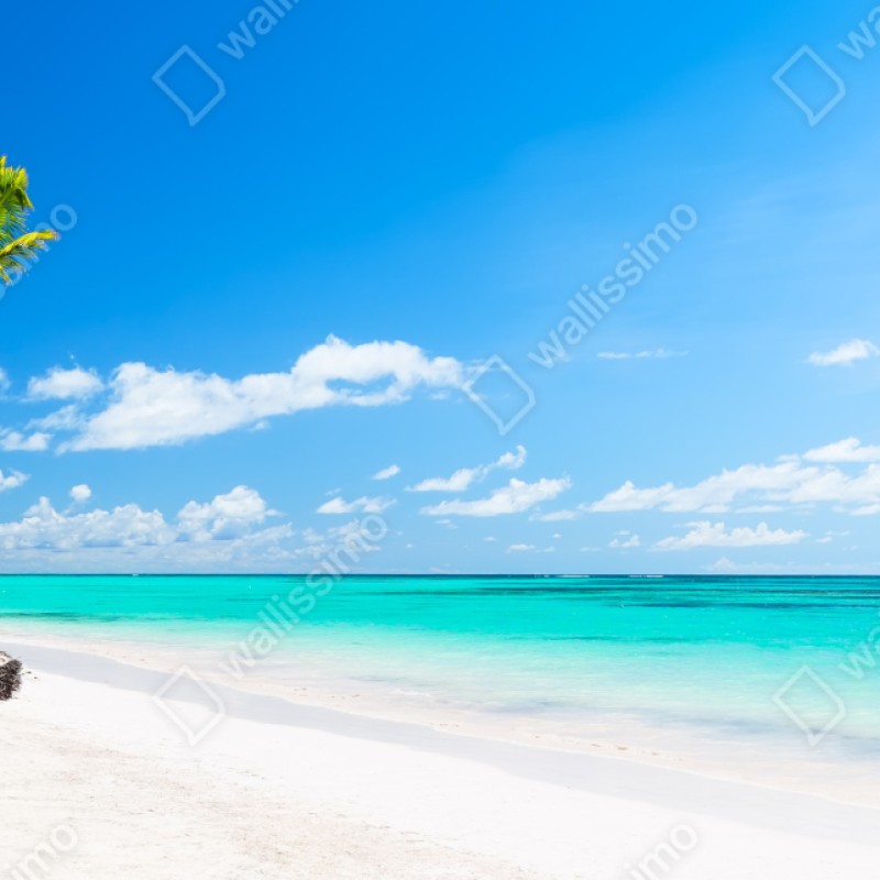 Repositionierbarer Aufkleber tropisches strandpanorama in Punta Cana – Wallnifity® Repositionierbarer Aufkleber tropisches strandpanorama in Punta Cana – Wallnifity®