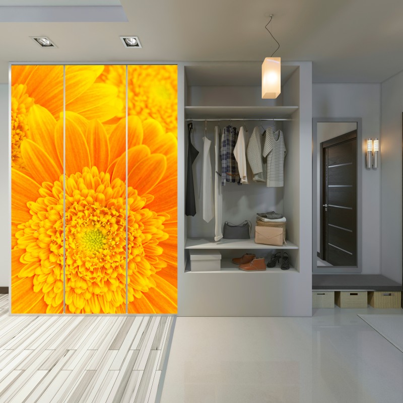 Schrankaufkleber intensive orange gerbera nahaufnahme – Wallnifity®