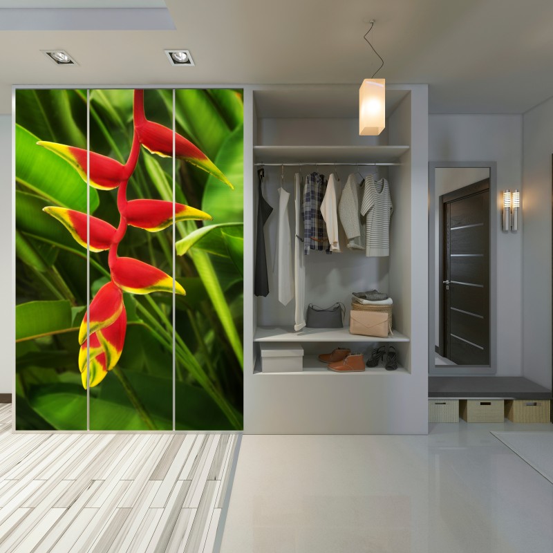 Schrankaufkleber leuchtende heliconia im tropischen laub – Wallnifity® Schrankaufkleber leuchtende heliconia im tropischen laub – Wallnifity®