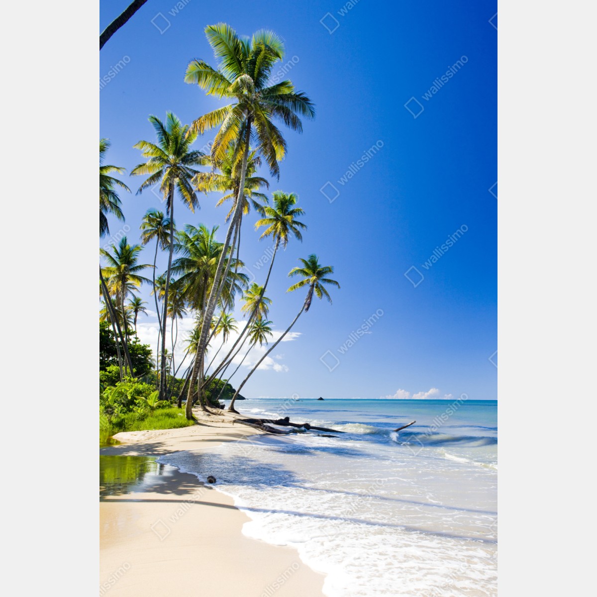 Schrankaufkleber tropischer palmenstrand unter blauem himmel – Wallnifity® Schrankaufkleber tropischer palmenstrand unter blauem himmel – Wallnifity®