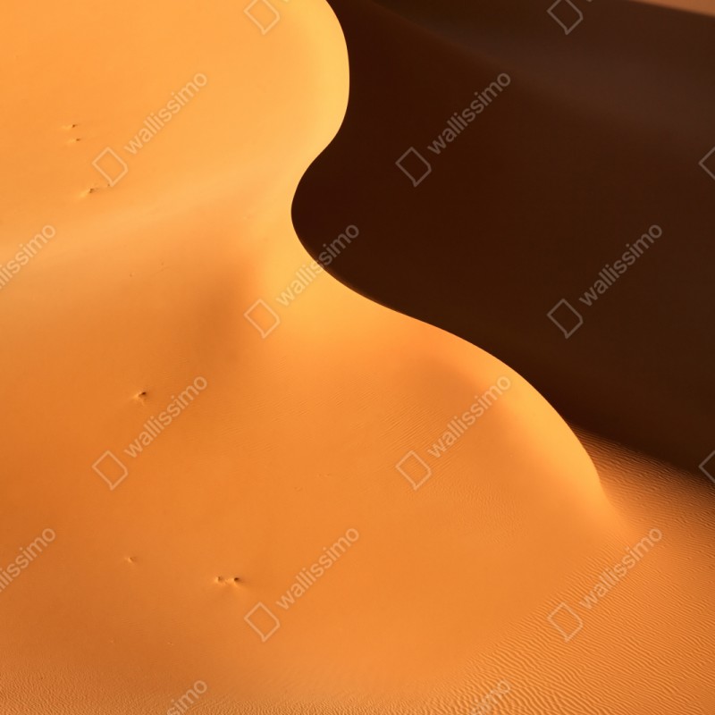 Schrankaufkleber goldene dünenkurven – Wallnifity® Schrankaufkleber goldene dünenkurven – Wallnifity®