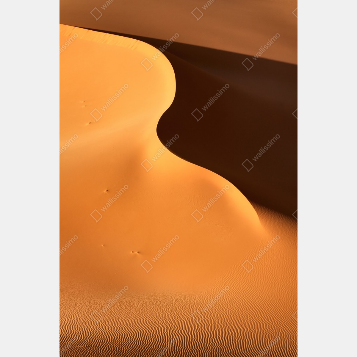 Schrankaufkleber goldene dünenkurven – Wallnifity® Schrankaufkleber goldene dünenkurven – Wallnifity®