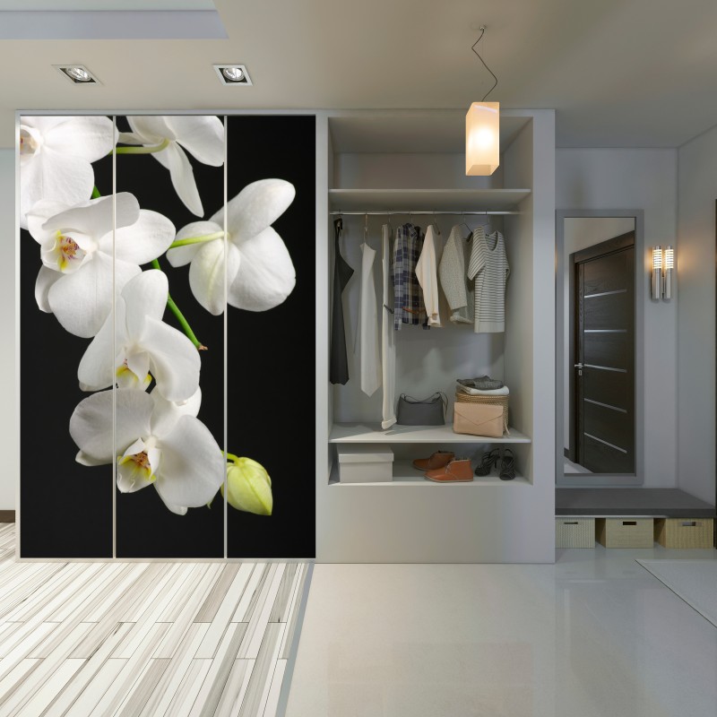 Schrankaufkleber weißer orchideenzweig vor schwarzem hintergrund – Wallnifity®