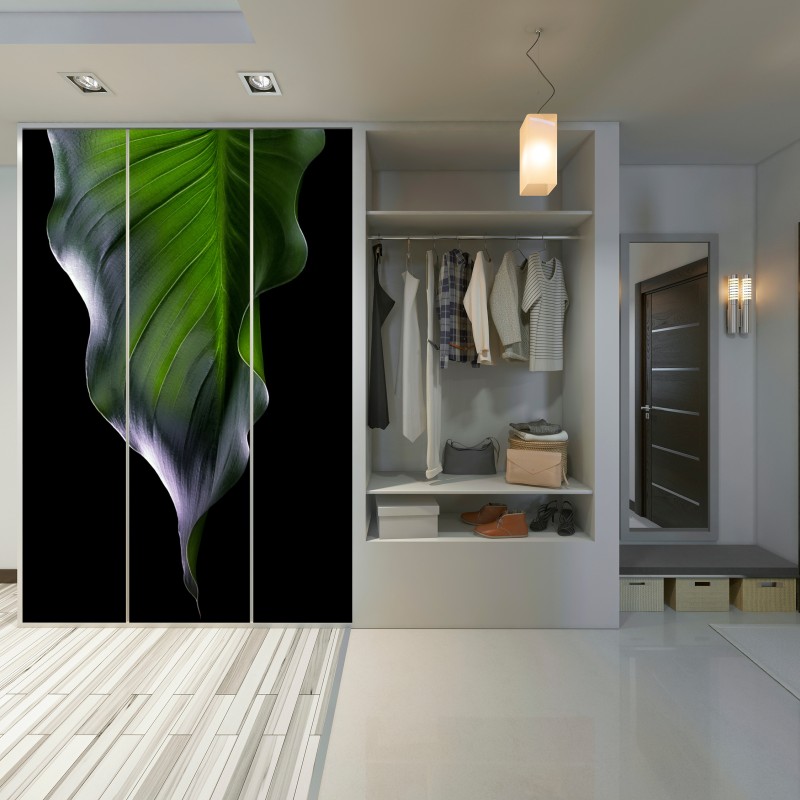 Schrankaufkleber elegantes grünes blatt auf schwarzem hintergrund – Wallnifity® Schrankaufkleber elegantes grünes blatt auf schwarzem hintergrund – Wallnifity®