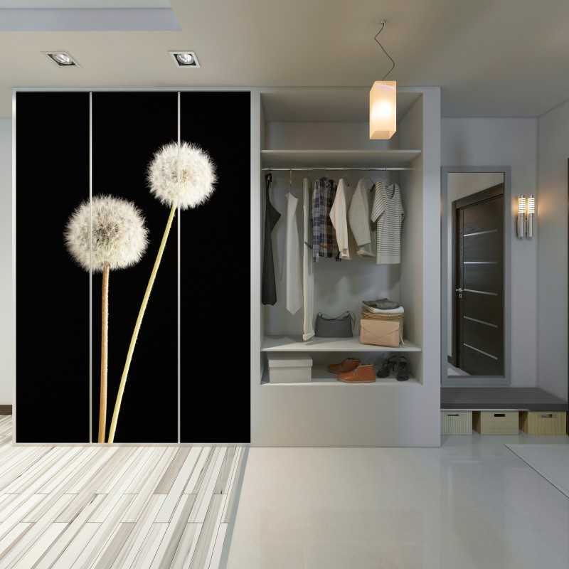 Schrankaufkleber zarte löwenzahnsamen auf schwarzem hintergrund – Wallnifity® Schrankaufkleber zarte löwenzahnsamen auf schwarzem hintergrund – Wallnifity®