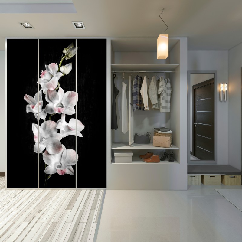 Schrankaufkleber weiße und rosa orchidee vor schwarzem hintergrund – Wallnifity® Schrankaufkleber weiße und rosa orchidee vor schwarzem hintergrund – Wallnifity®