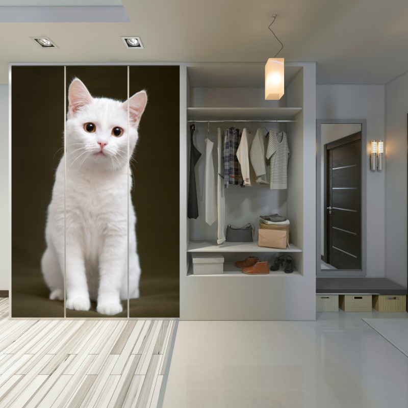 Schrankaufkleber niedliches porträt einer weißen katze – Wallnifity® Schrankaufkleber niedliches porträt einer weißen katze – Wallnifity®