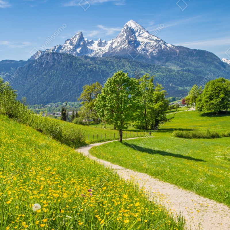 Schrankaufkleber alpenwiese und bergpfad – Wallnifity® Schrankaufkleber alpenwiese und bergpfad – Wallnifity®