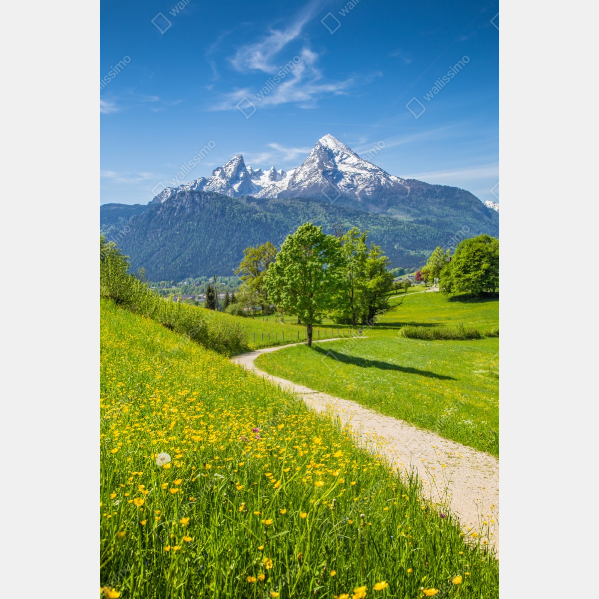 Schrankaufkleber alpenwiese und bergpfad – Wallnifity® Schrankaufkleber alpenwiese und bergpfad – Wallnifity®