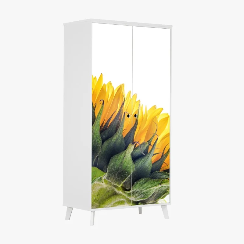 Schrankaufkleber sonnenblume in der ecke auf weißem hintergrund – Wallnifity® Schrankaufkleber sonnenblume in der ecke auf weißem hintergrund – Wallnifity®