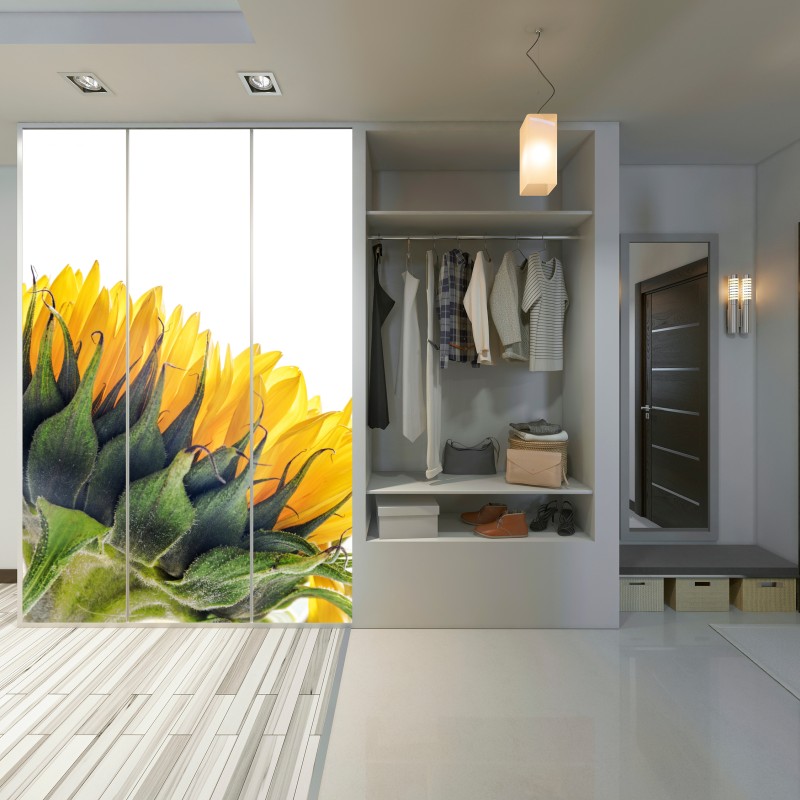 Schrankaufkleber sonnenblume in der ecke auf weißem hintergrund – Wallnifity® Schrankaufkleber sonnenblume in der ecke auf weißem hintergrund – Wallnifity®