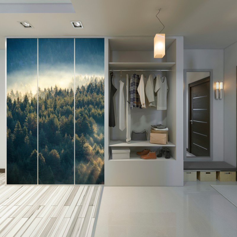 Schrankaufkleber nebliger kiefernwald im morgenlicht – Wallnifity® Schrankaufkleber nebliger kiefernwald im morgenlicht – Wallnifity®