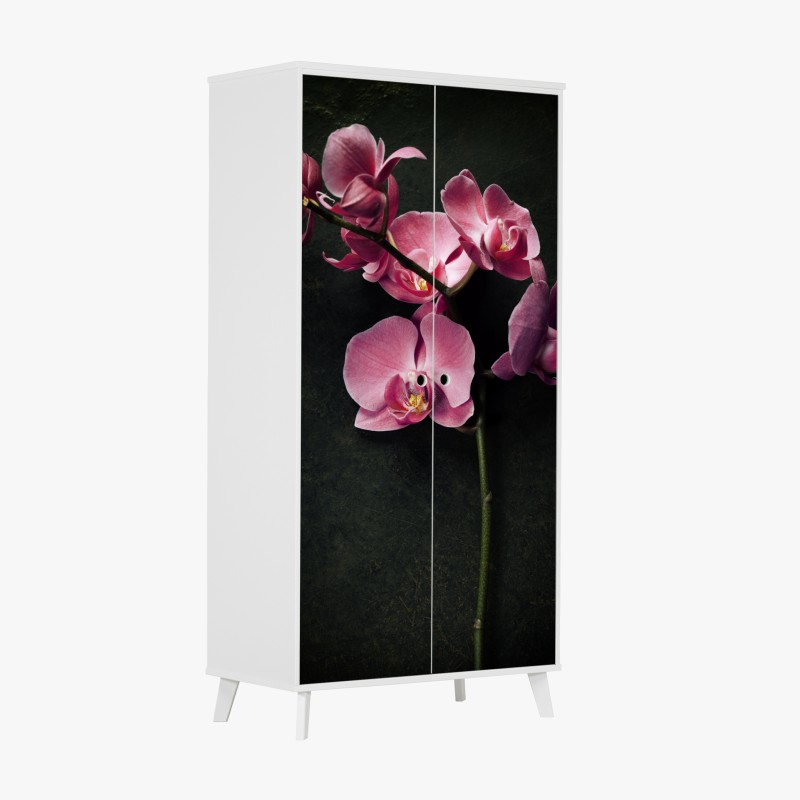 Schrankaufkleber elegante vintage-geige vor schwarzem hintergrund – Wallnifity®