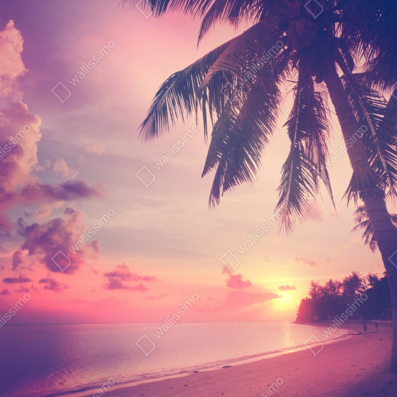 Schrankaufkleber tropischer sonnenuntergang am strand – Wallnifity® Schrankaufkleber tropischer sonnenuntergang am strand – Wallnifity®