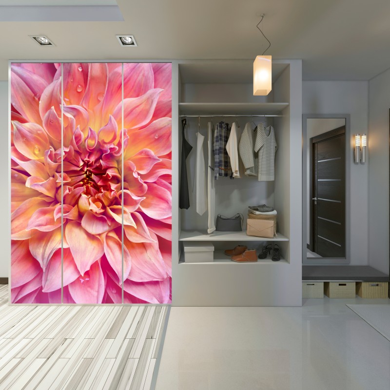 Schrankaufkleber rosa dahlie nahaufnahme – Wallnifity® Schrankaufkleber rosa dahlie nahaufnahme – Wallnifity®