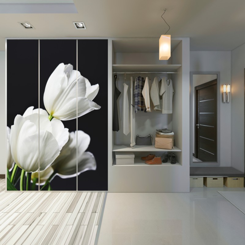Schrankaufkleber weißer tulpenstrauß vor dunklem hintergrund – Wallnifity® Schrankaufkleber weißer tulpenstrauß vor dunklem hintergrund – Wallnifity®