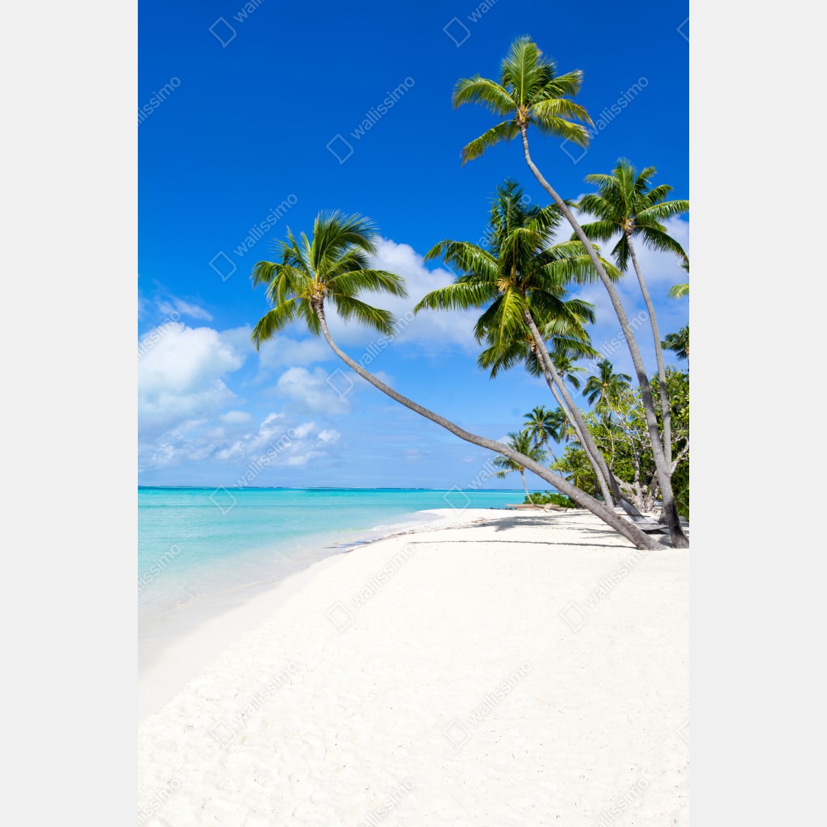 Schrankaufkleber tropischer palmenstrand – Wallnifity® Schrankaufkleber tropischer palmenstrand – Wallnifity®