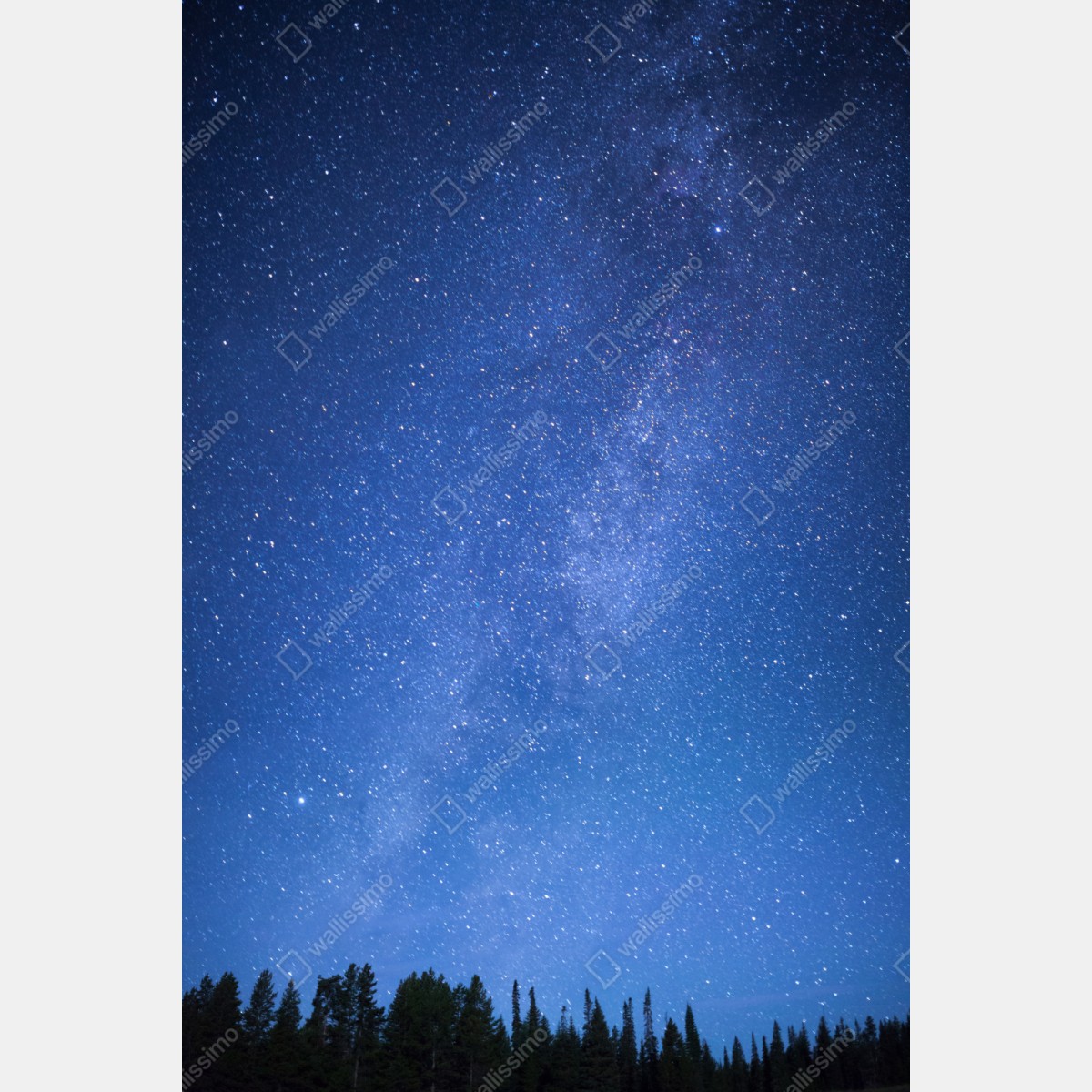 Schrankaufkleber sternenklare Milchstraße über dem Wald – Wallnifity®