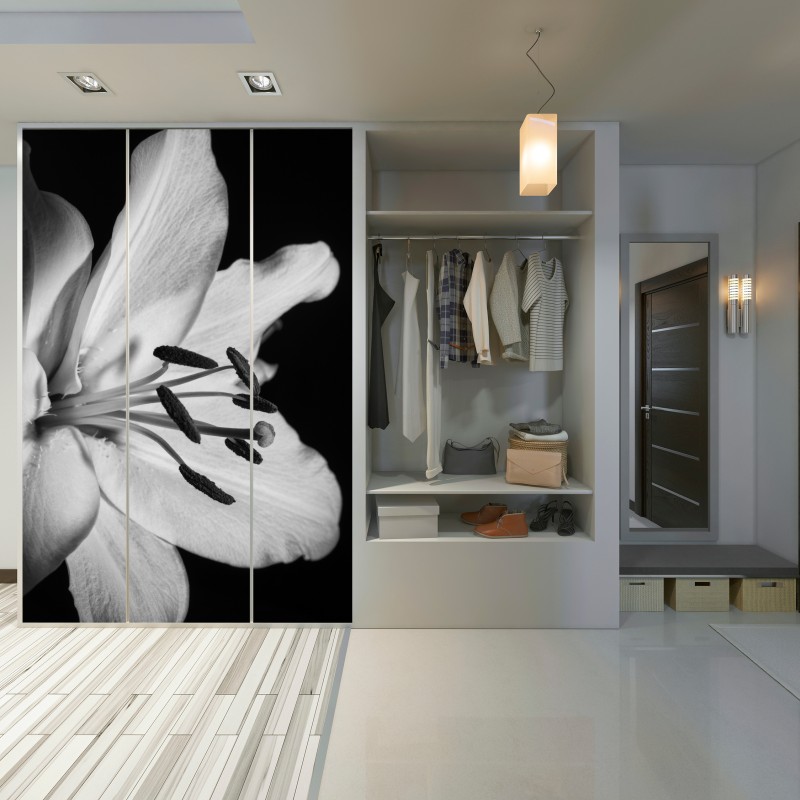 Schrankaufkleber monochrome lilie nahaufnahme – Wallnifity® Schrankaufkleber monochrome lilie nahaufnahme – Wallnifity®