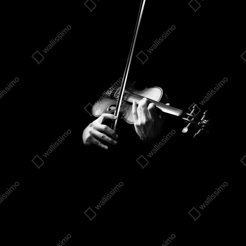 Schrankaufkleber geige in monochrom – Wallnifity®