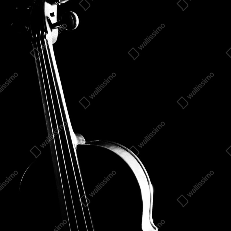 Schrankaufkleber elegante geigensilhouette auf schwarzem hintergrund – Wallnifity® Schrankaufkleber elegante geigensilhouette auf schwarzem hintergrund – Wallnifity®