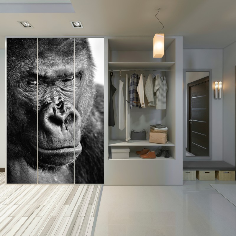 Schrankaufkleber intensives gorilla-porträt in schwarzweiß – Wallnifity® Schrankaufkleber intensives gorilla-porträt in schwarzweiß – Wallnifity®