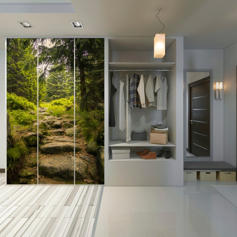 Schrankaufkleber ruhiger waldweg durch nadelwald – Wallnifity® Schrankaufkleber ruhiger waldweg durch nadelwald – Wallnifity®