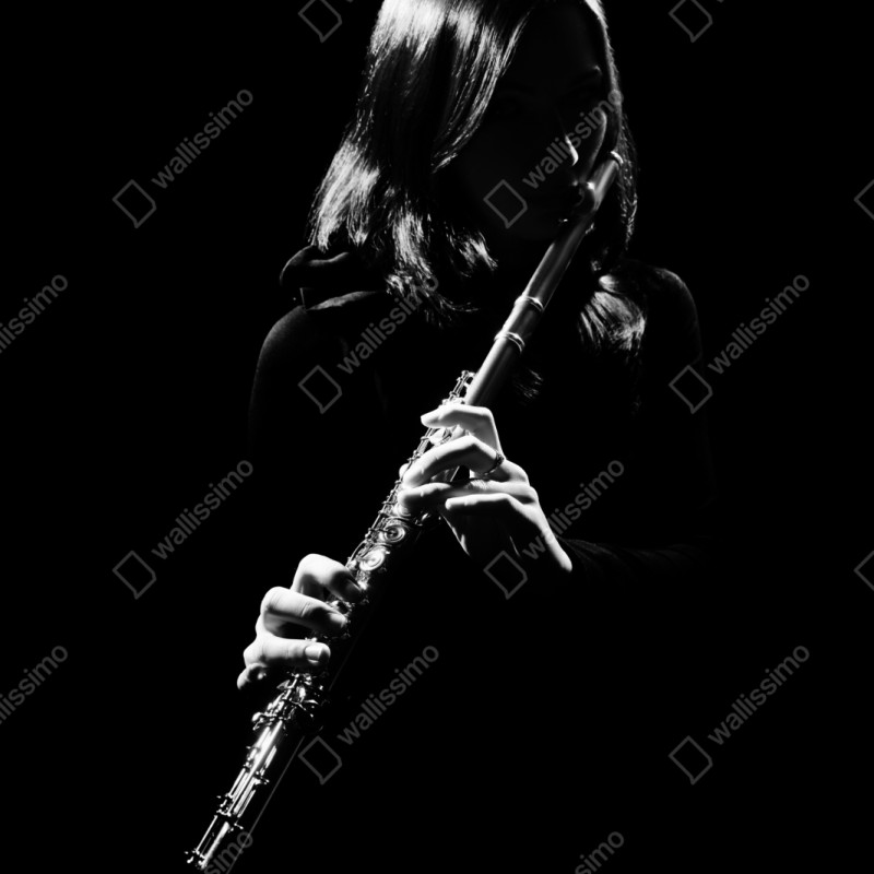 Schrankaufkleber elegante flötensilhouette – Wallnifity®