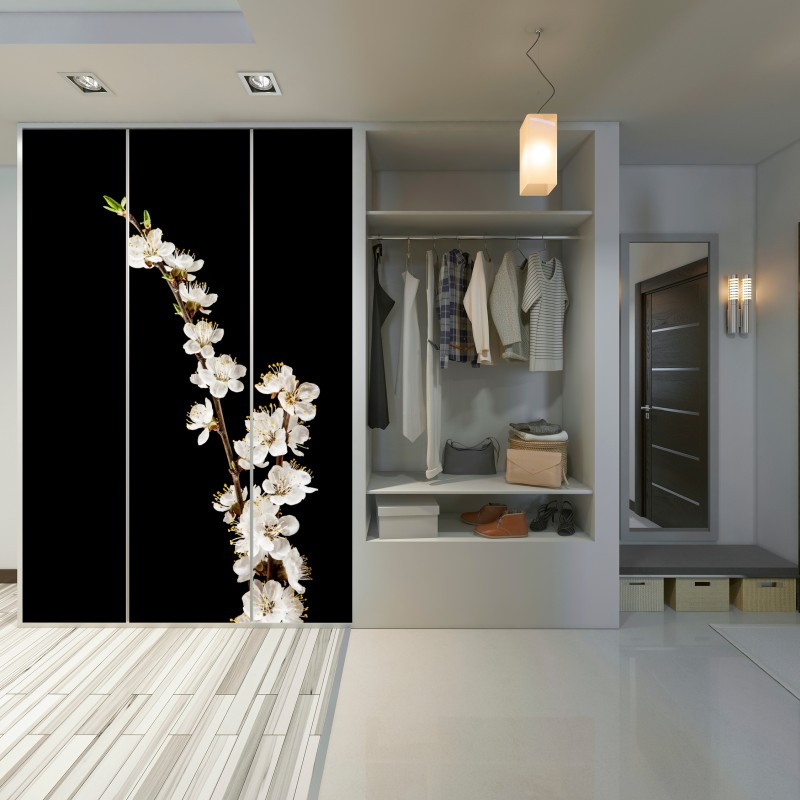 Schrankaufkleber zarter zweig mit aprikosenblüten auf schwarzem hintergrund – Wallnifity® Schrankaufkleber zarter zweig mit aprikosenblüten auf schwarzem hintergrund – Wallnifity®