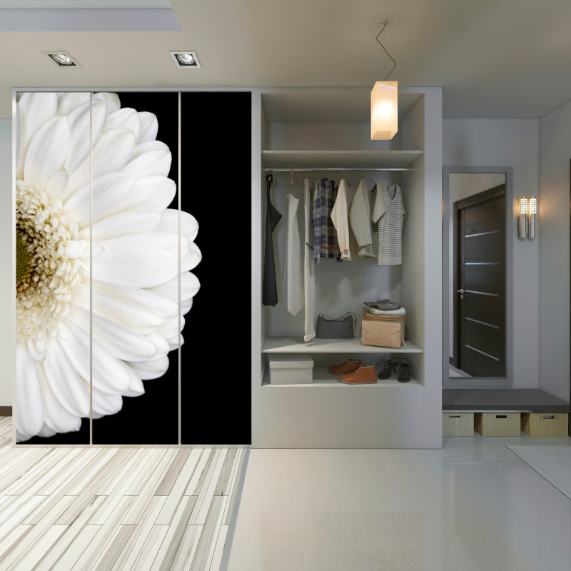Schrankaufkleber weiße gerbera auf schwarzem hintergrund minimalistische nahaufnahme – Wallnifity® Schrankaufkleber weiße gerbera auf schwarzem hintergrund minimalistische nahaufnahme – Wallnifity®