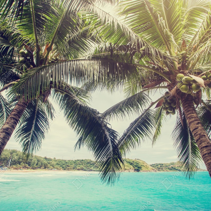 Schrankaufkleber tropische kokospalmen am türkisfarbenen meer – Wallnifity® Schrankaufkleber tropische kokospalmen am türkisfarbenen meer – Wallnifity®