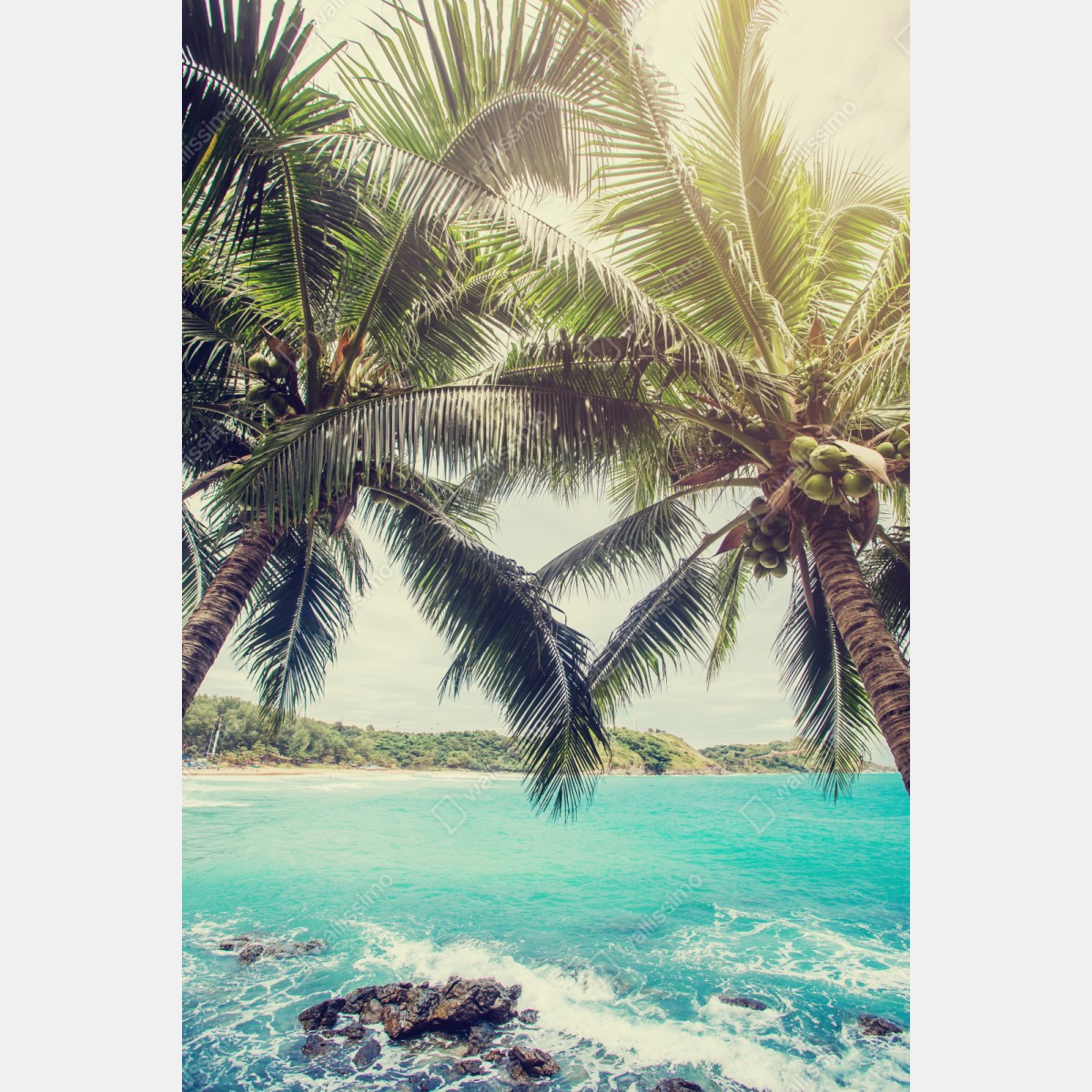 Schrankaufkleber tropische kokospalmen am türkisfarbenen meer – Wallnifity® Schrankaufkleber tropische kokospalmen am türkisfarbenen meer – Wallnifity®