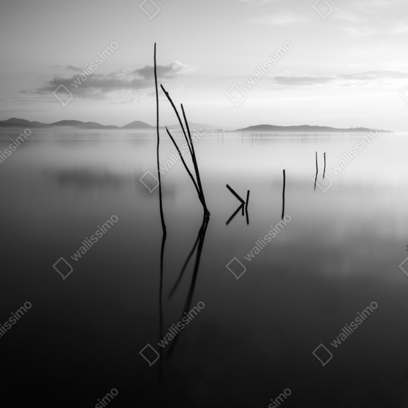 Schrankaufkleber ruhiger monochromer see mit reflexionen – Wallnifity® Schrankaufkleber ruhiger monochromer see mit reflexionen – Wallnifity®
