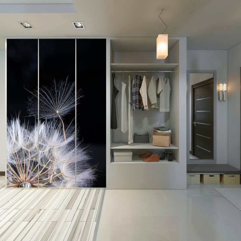 Schrankaufkleber zarter löwenzahnsamen auf schwarzem hintergrund – Wallnifity® Schrankaufkleber zarter löwenzahnsamen auf schwarzem hintergrund – Wallnifity®